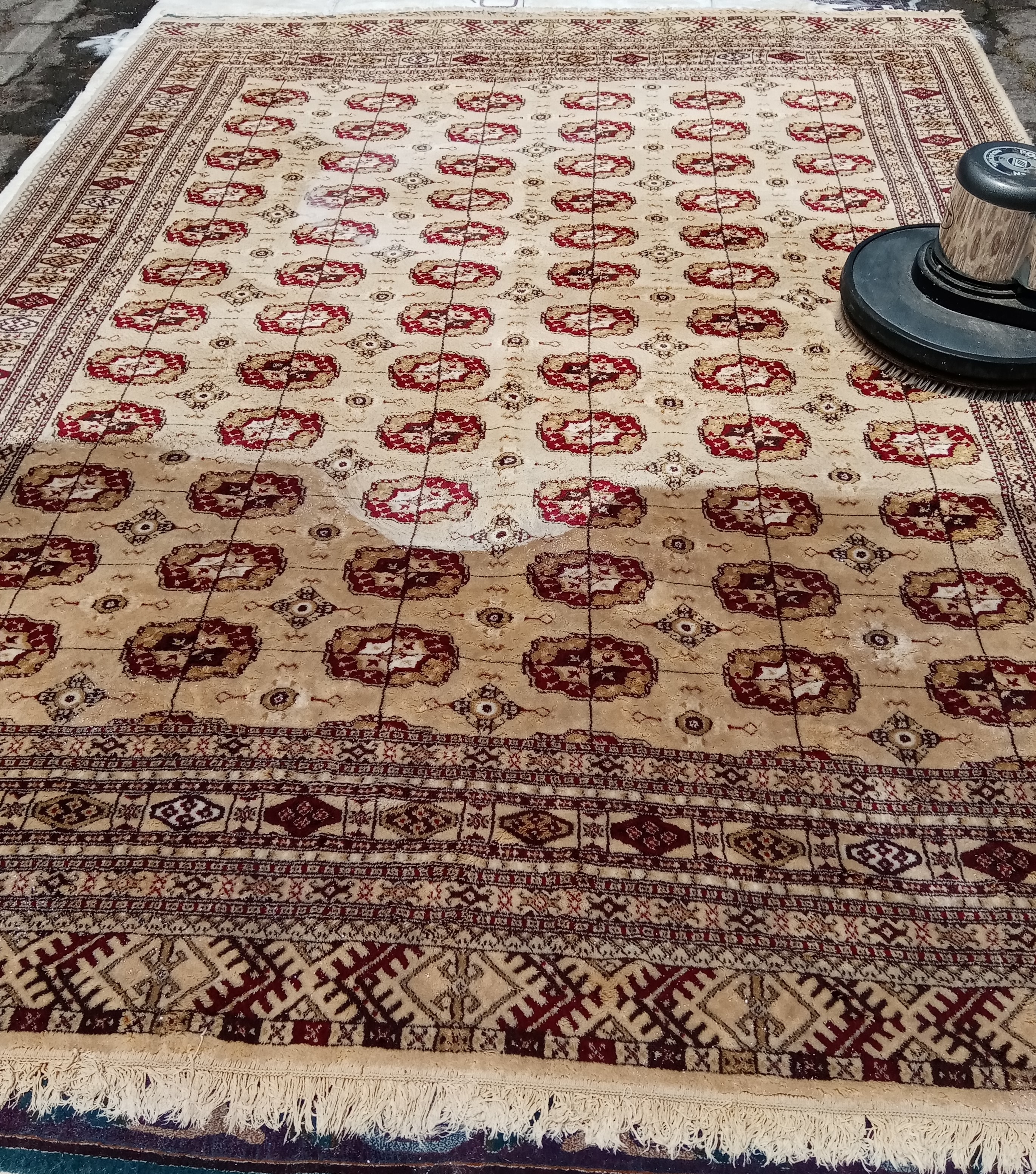 foto tapete limpieza